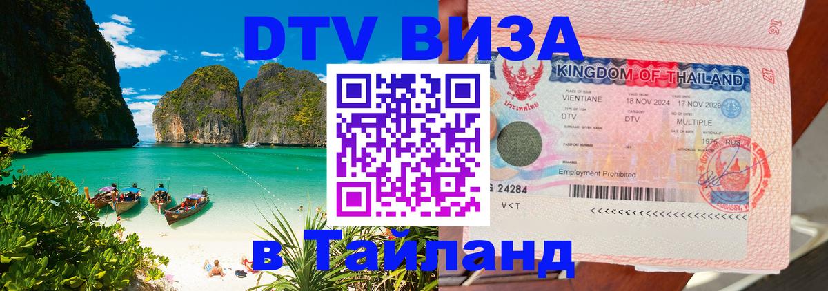 Оформление DTV визы под ключ: стоимость и тарифы, только загранпаспорт - Михайловск  19.11.2025 